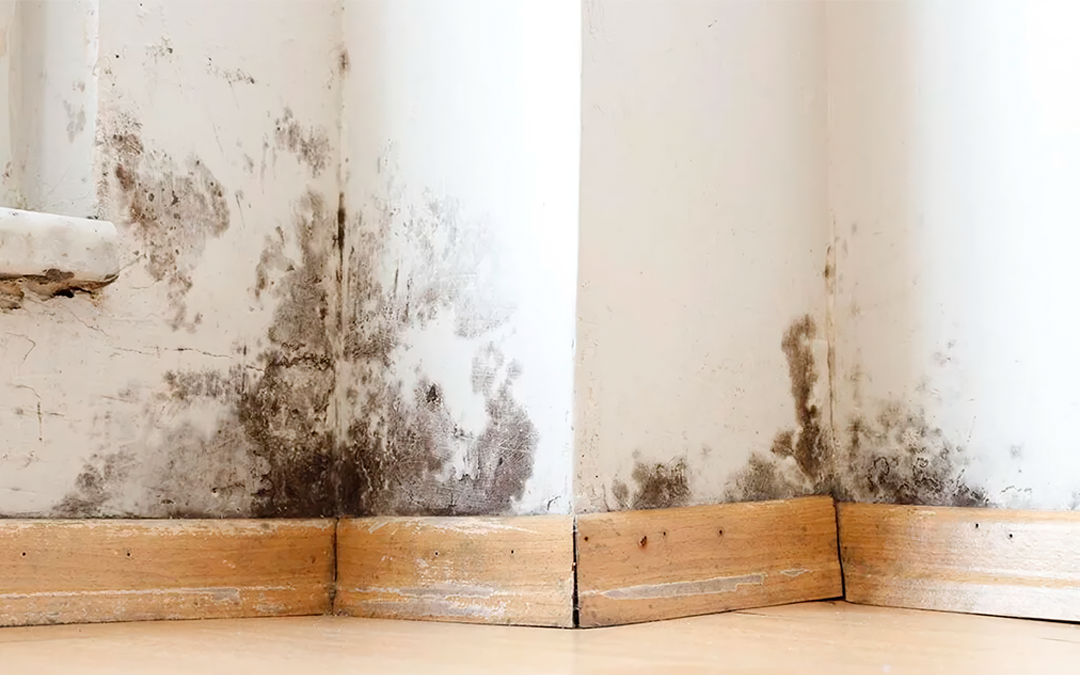Humedad por Filtración: causas, detección y solución