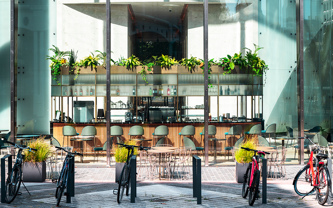 🌿 Azotea Verde para Negocios en Toluca y Metepec: